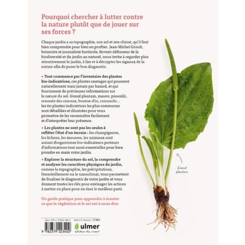 Les plantes bio-indicatrices et autres indicateurs pour comprendre son jardin