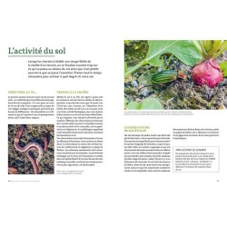 Les plantes bio-indicatrices et autres indicateurs pour comprendre son jardin