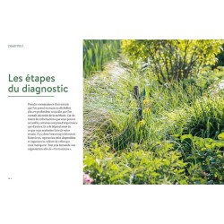 Les plantes bio-indicatrices et autres indicateurs pour comprendre son jardin