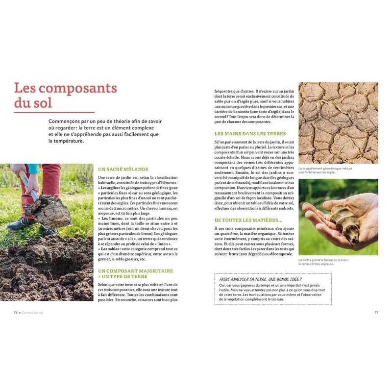 Les plantes bio-indicatrices et autres indicateurs pour comprendre son jardin