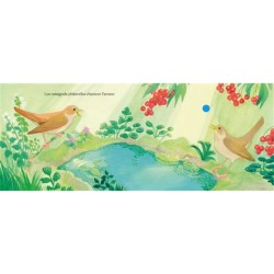 Chants d'oiseaux amoureux - Mon petit livre sonore