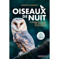 Oiseaux de nuit - Le monde fascinant des chouettes et des hiboux