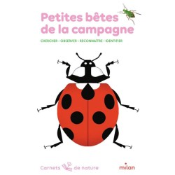 Petites bêtes de la campagne - Carnets de nature - Chercher, observer, reconnaître, identifier