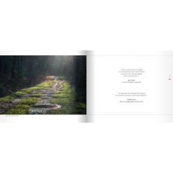 Sur les sentiers de Grande Randonnée