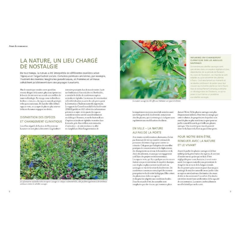 Un jardin sauvage et coloré Un jardin sauvage et coloré