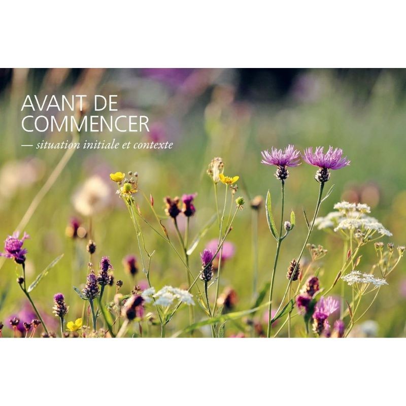 Un jardin sauvage et coloré Un jardin sauvage et coloré