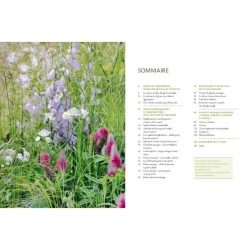 Un jardin sauvage et coloré Un jardin sauvage et coloré