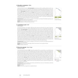 Guide expert des Oiseaux de Guyane - Manuel d'identification