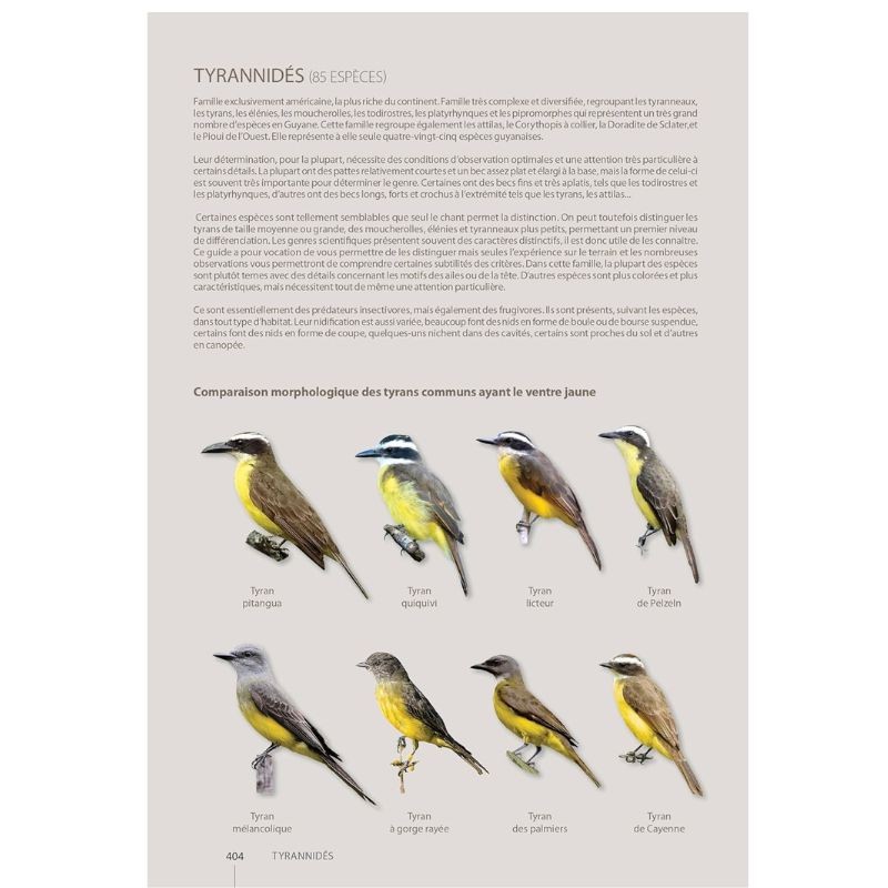 Guide expert des Oiseaux de Guyane - Manuel d'identification