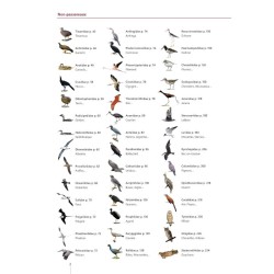 Guide expert des Oiseaux de Guyane - Manuel d'identification