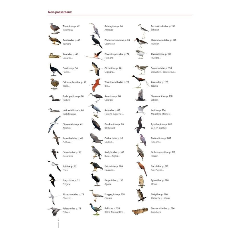 Guide expert des Oiseaux de Guyane - Manuel d'identification