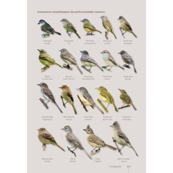 Guide expert des Oiseaux de Guyane - Manuel d'identification