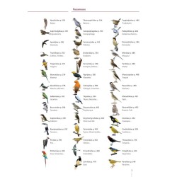 Guide expert des Oiseaux de Guyane - Manuel d'identification