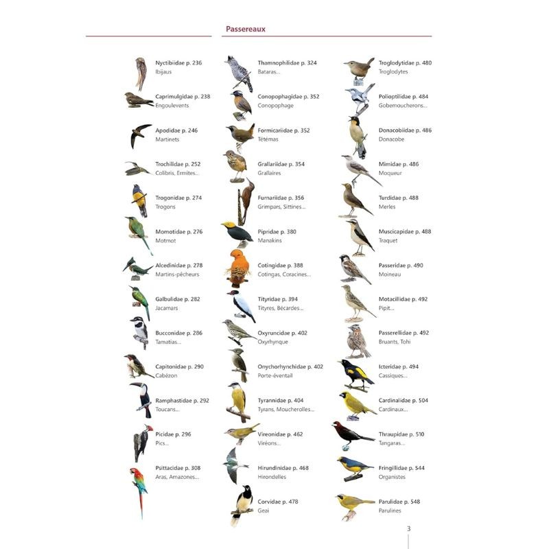 Guide expert des Oiseaux de Guyane - Manuel d'identification