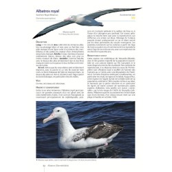Guide des Oiseaux de Nouvelle-Calédonie: Grande Terre, Îles Loyauté et archipels éloignés