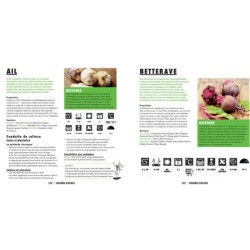 Mon potager en ville - Pour obtenir de beau légumes en milieu citadin Mon potager en ville - Pour obtenir de beau légumes en milieu citadin