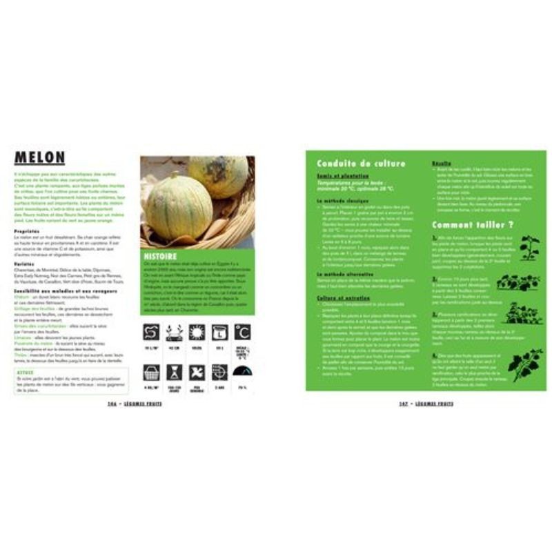 Mon potager en ville - Pour obtenir de beau légumes en milieu citadin Mon potager en ville - Pour obtenir de beau légumes en milieu citadin