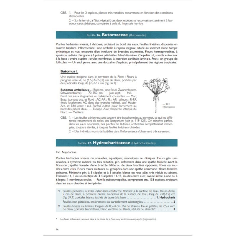 Nouvelle Flore de la Belgique, du Grand-Duché de Luxembourg, du Nord de la France et des Régions voisines (Ptéridophytes et Sper