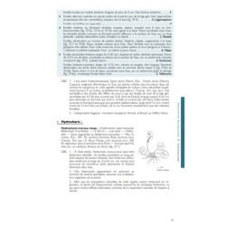 Nouvelle Flore de la Belgique, du Grand-Duché de Luxembourg, du Nord de la France et des Régions voisines (Ptéridophytes et Sper