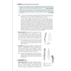 Nouvelle Flore de la Belgique, du Grand-Duché de Luxembourg, du Nord de la France et des Régions voisines (Ptéridophytes et Sper