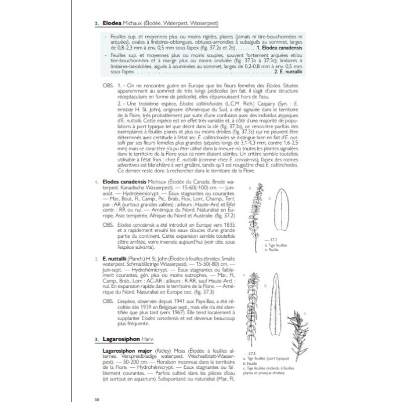 Nouvelle Flore de la Belgique, du Grand-Duché de Luxembourg, du Nord de la France et des Régions voisines (Ptéridophytes et Sper