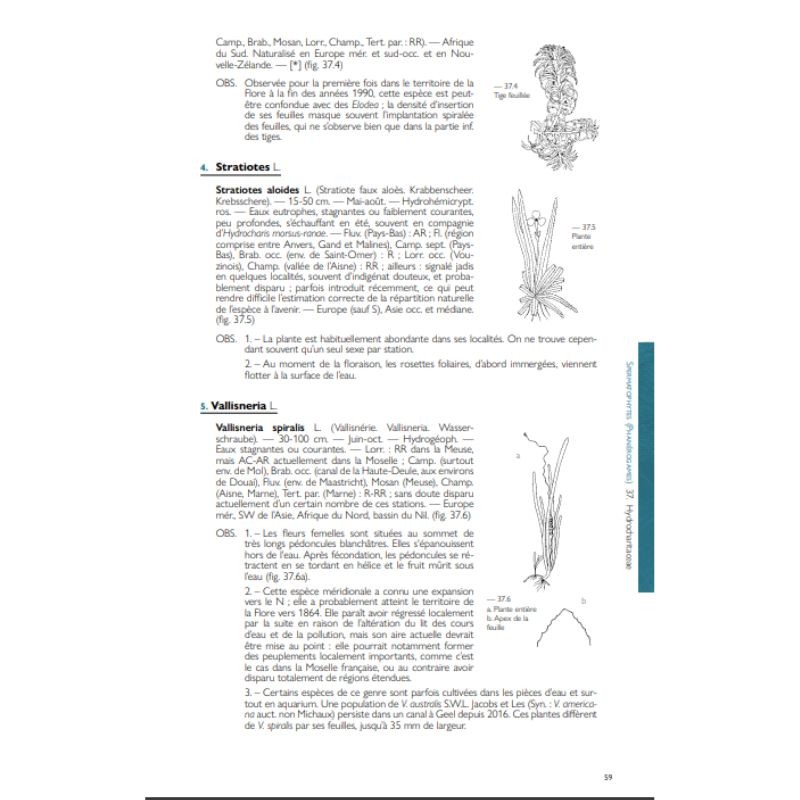 Nouvelle Flore de la Belgique, du Grand-Duché de Luxembourg, du Nord de la France et des Régions voisines (Ptéridophytes et Sper