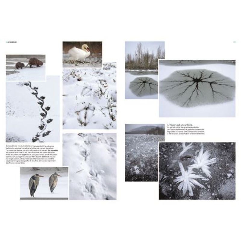 La Nature au bord de l'eau