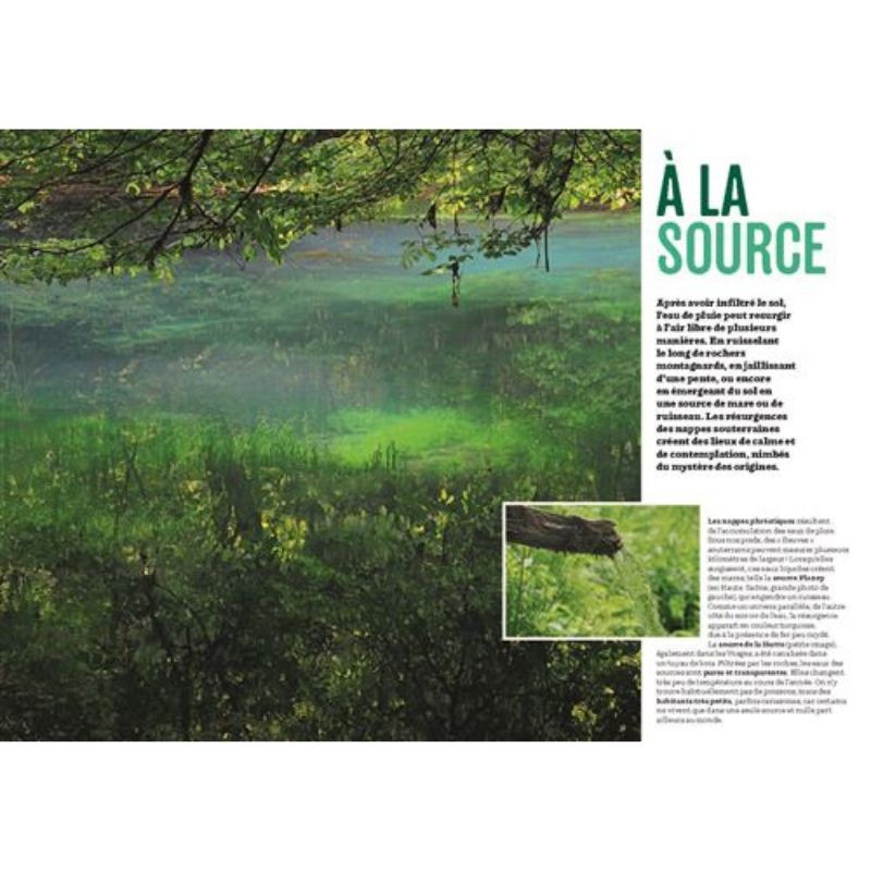 La Nature au bord de l'eau