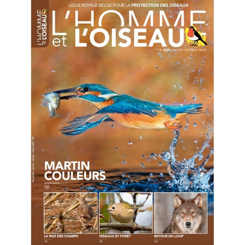 Revue L'Homme et l'Oiseau - Martin couleurs - 1/2020