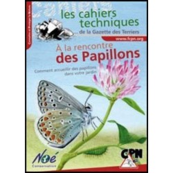 À la rencontre des papillons