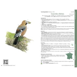 Faune forestière française - Guide écologique illustré - Tome 1