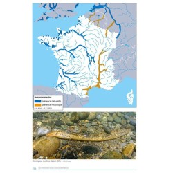 Les Poissons d'eau douce de France - 2ème édition