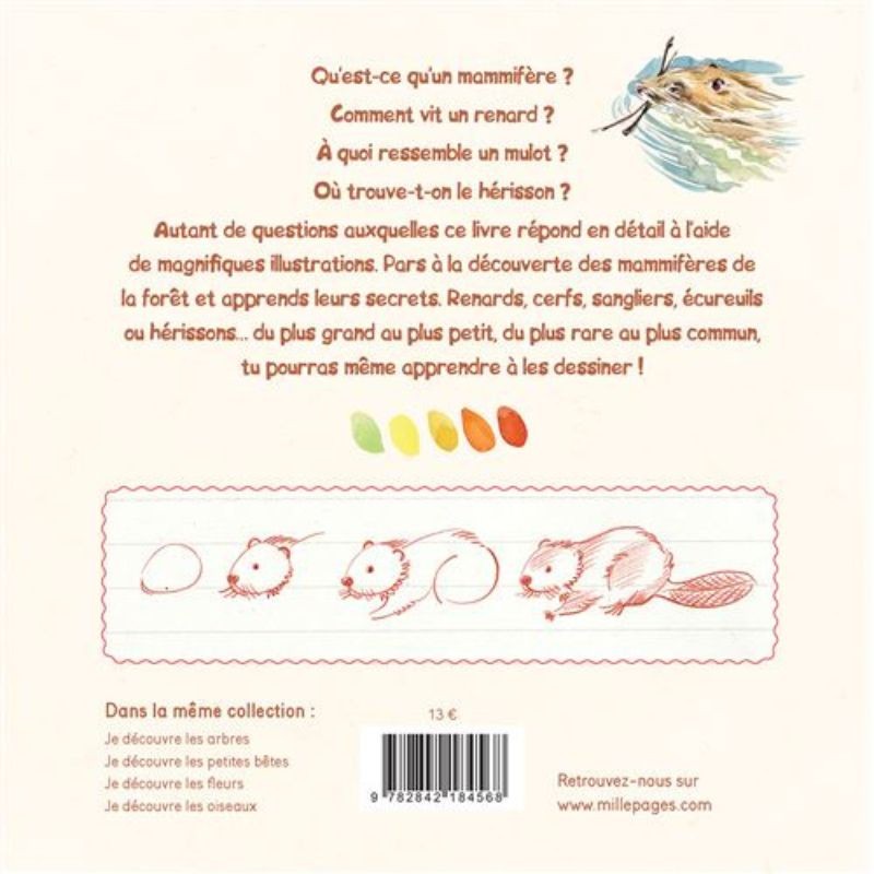 Je découvre les mammifères de la forêt et j'apprends à les reconnaître Je découvre les mammifères de la forêt et j'apprends à les reconnaître