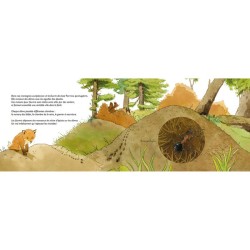 Fourmidables fourmis ! La myrmécologie