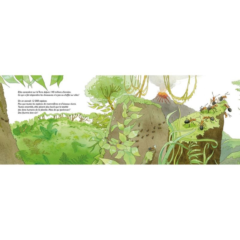 Fourmidables fourmis ! La myrmécologie