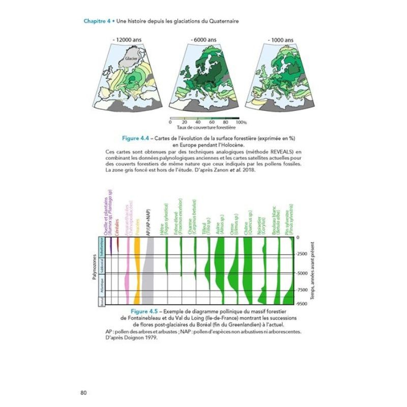 Forêt - biodiversité, dynamique et gestion