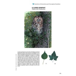 Forêt - biodiversité, dynamique et gestion