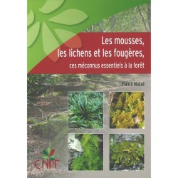 Les mousses, les lichens et les fougères - Ces méconnus essentiels à la forêt