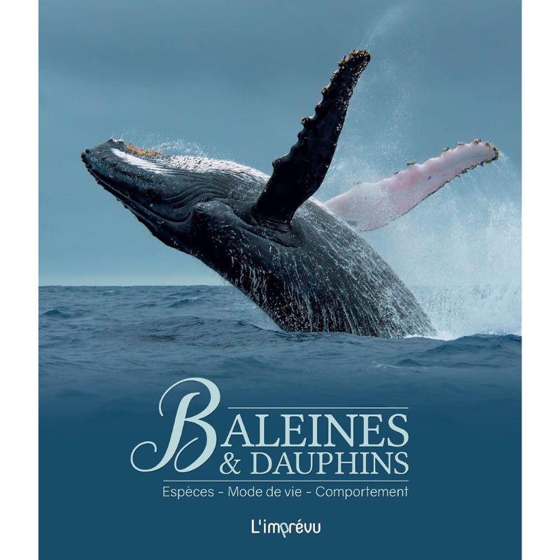 Baleines & Dauphins - Espèces, mode de vie, comportement