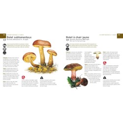 Coffret Champignons - Guide + couteau à champignons Coffret Champignons - Guide + couteau à champignons