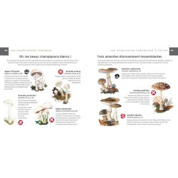 Coffret Champignons - Guide + couteau à champignons Coffret Champignons - Guide + couteau à champignons