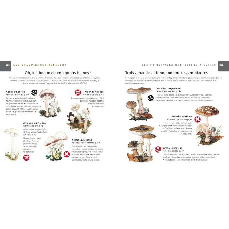 Coffret Champignons - Guide + couteau à champignons Coffret Champignons - Guide + couteau à champignons