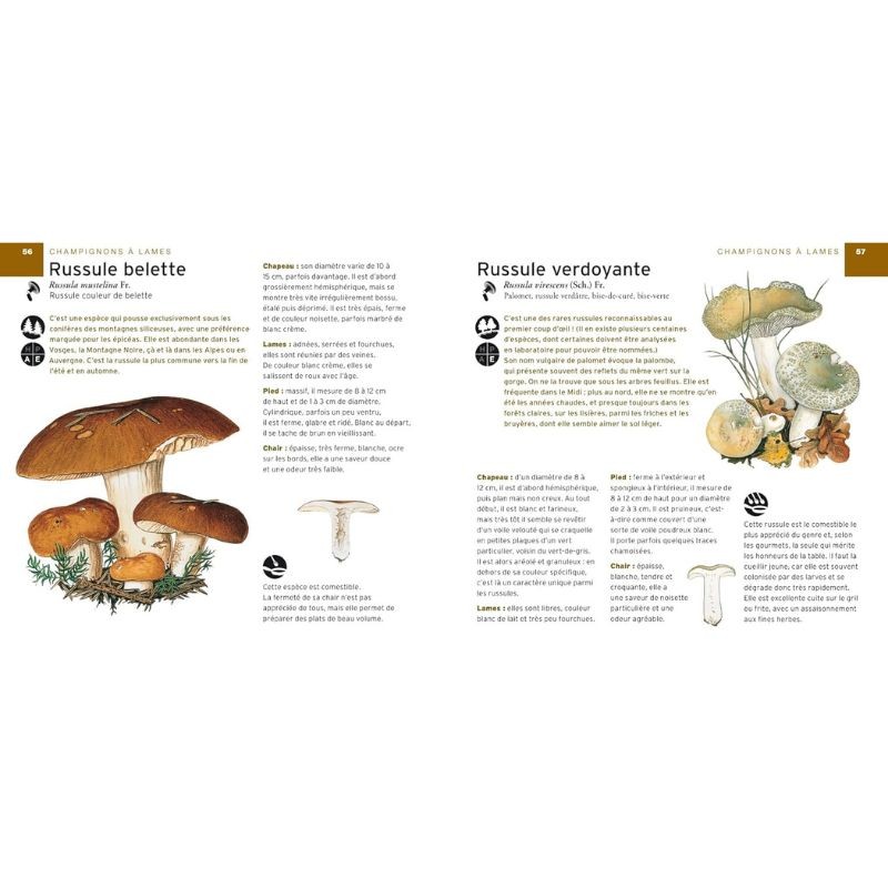 Coffret Champignons - Guide + couteau à champignons Coffret Champignons - Guide + couteau à champignons