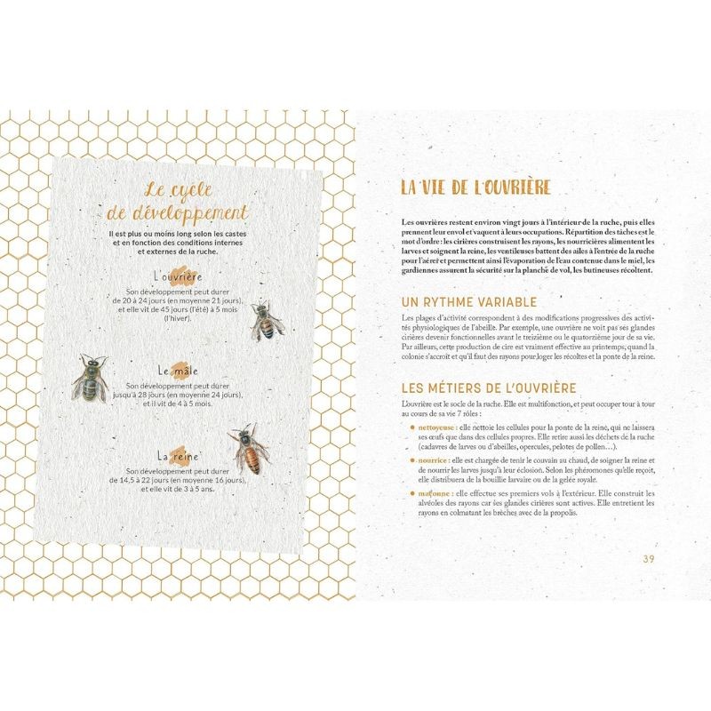 Je fais mon miel dans mon jardin - Le manuel complet pour produire du miel chez soi