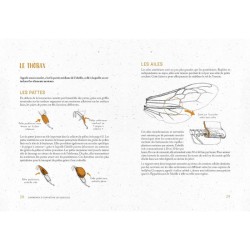 Je fais mon miel dans mon jardin - Le manuel complet pour produire du miel chez soi