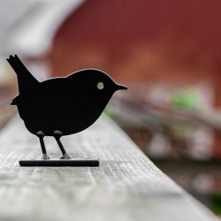 Silhouette Troglodyte mignon