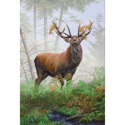 Cerf élaphe - Carte de correspondance d'André Buzin