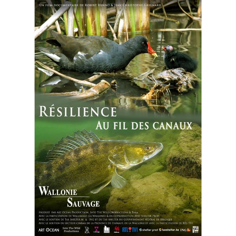 Wallonie Sauvage / Résilience au fil des canaux - Ep.3 - DVD