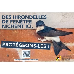 Panneau "Des hirondelles de fenêtre nichent ici, protégeons-les !"