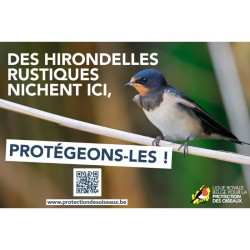 Panneau "Des Hirondelles rustiques nichent ici, protégeons-les !"